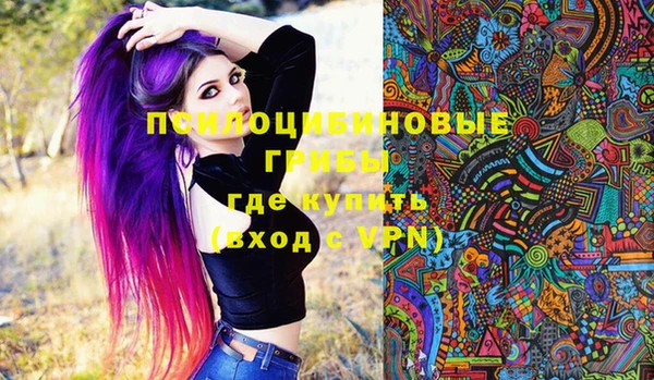 амф Алексеевка