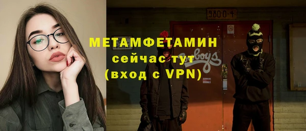 прущие грибы Приозерск