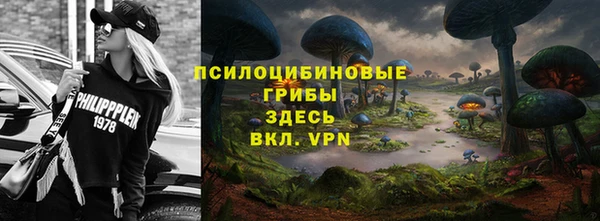 скорость Алзамай