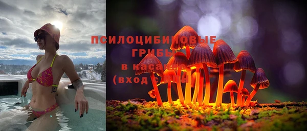 первитин Алексин