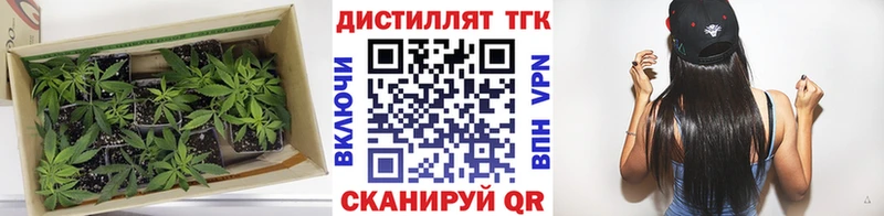 ТГК Wax  Ветлуга 