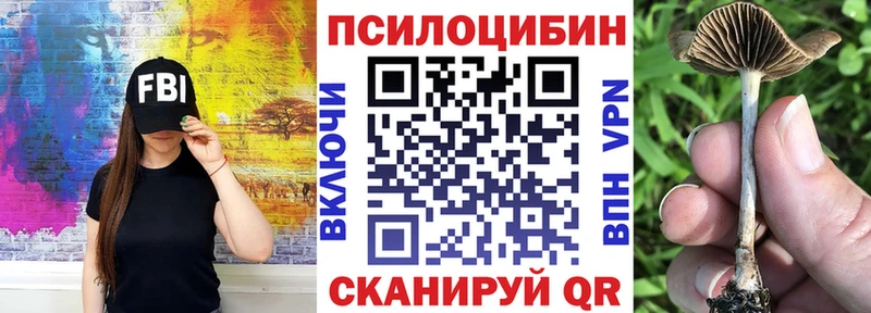 мега сайт  Ветлуга  Псилоцибиновые грибы Cubensis  купить наркотики сайты 